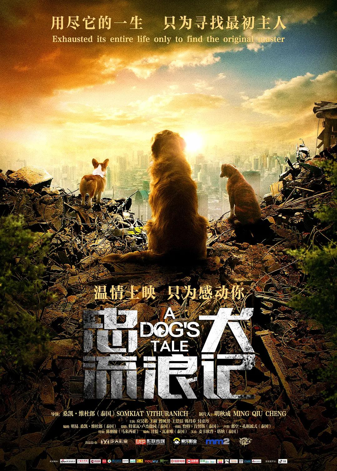 天堂在线观看v - BD韩语电影在线看