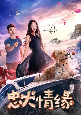 狠狠躁夜夜躁人人爽天天3
