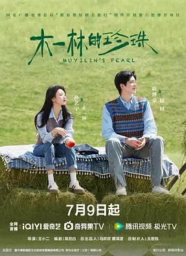 久久丁香五月天综合网