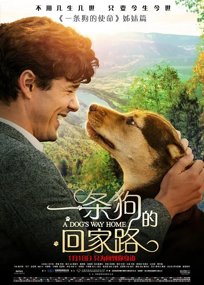精品国产亚洲一区二区三区在线观看_a毛片毛片看免费_国产精品成人一区二区三区_中文字幕日韩欧美_国产成人精品一区二三区在线观看