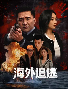 国内精品视频在线