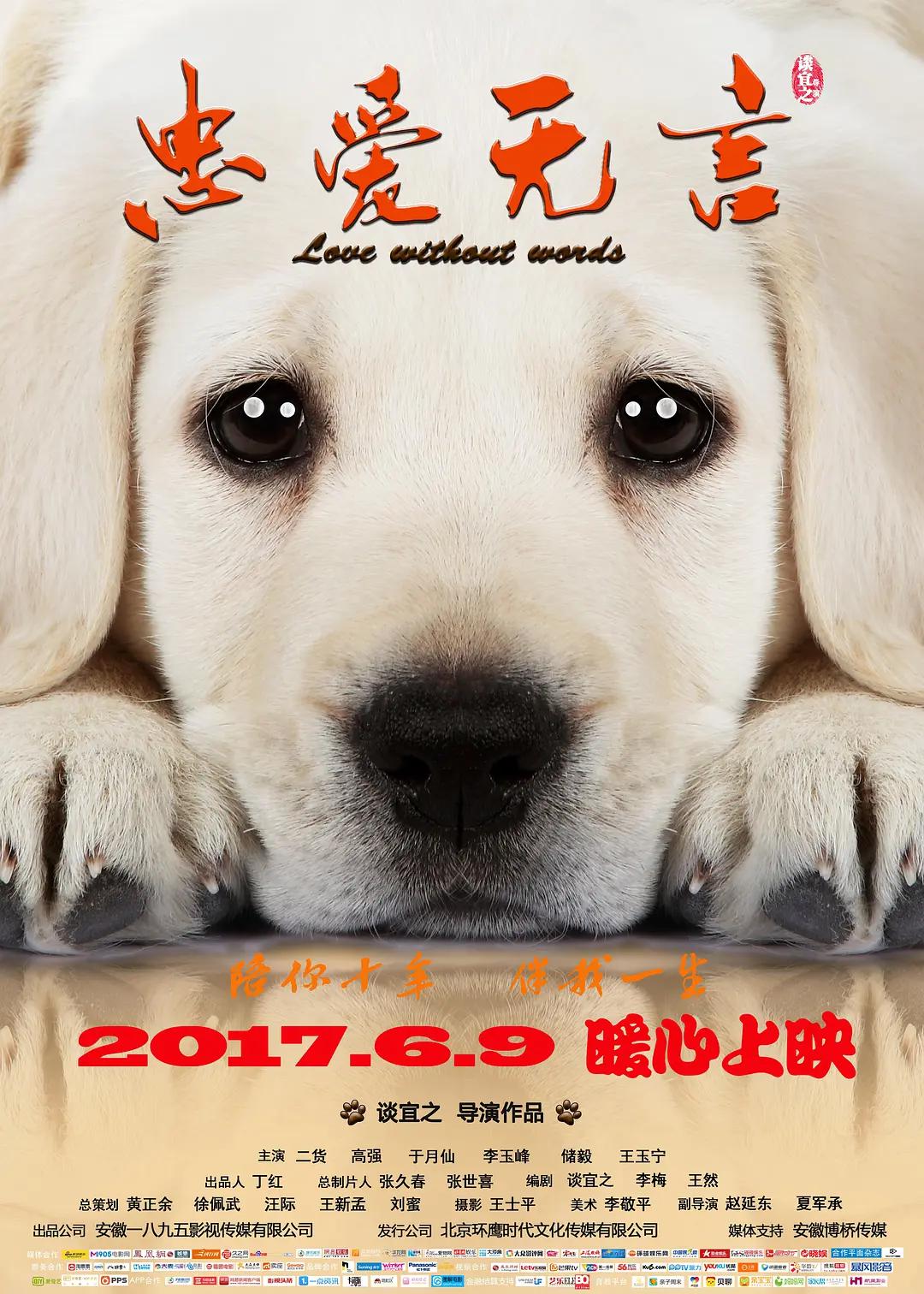 免费看黄网站在线看 - 4k迅雷电影在线