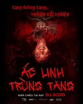 欧美电影在线完整免费观看