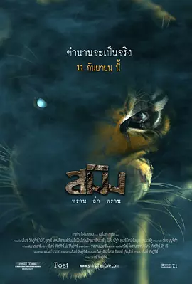 亚洲精品无码成人久久久