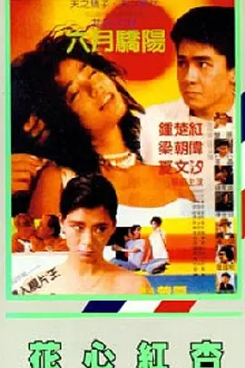 夜里100种禁用的视频软件