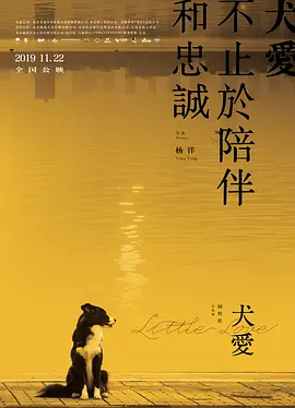 久久久久久久99精品国产片