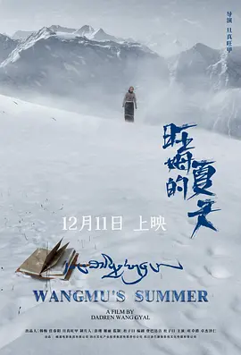 国产激情免费在线观看a片