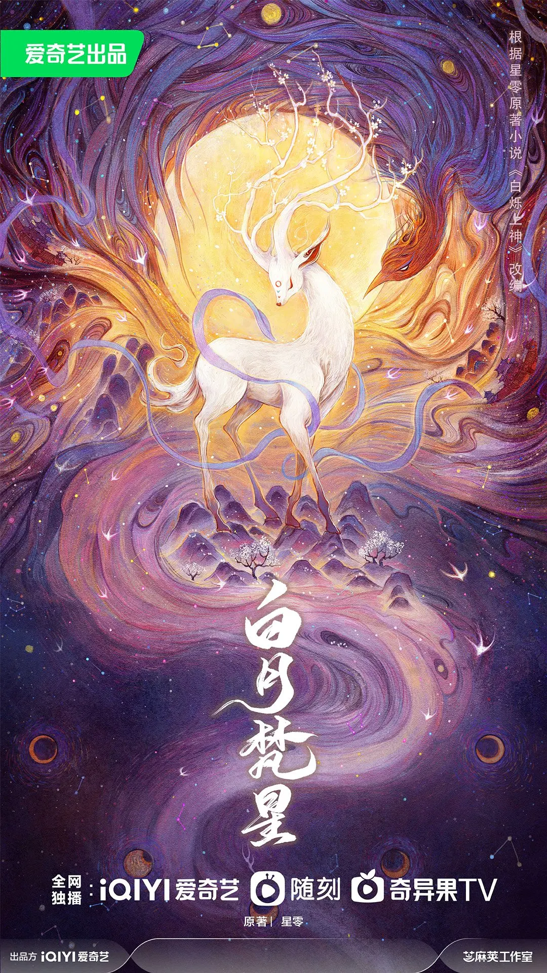 免费夜晚扑克直播软件