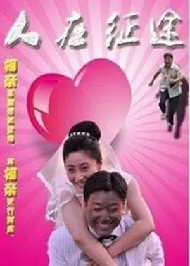 国产一区二区成人大片