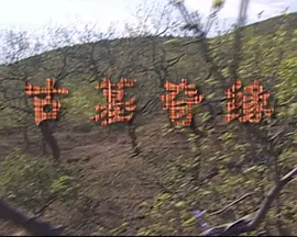 末成年女av片一区二区