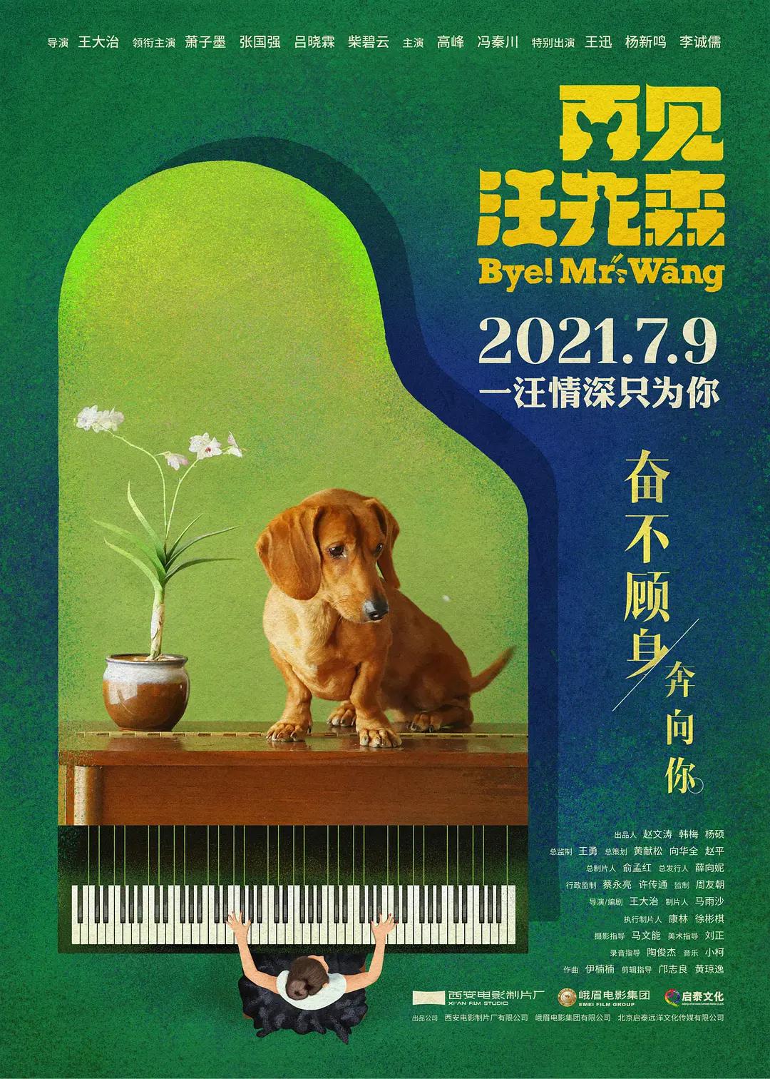 国产精品99久久免费观看